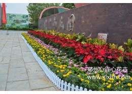節日花壇設計擺放方案
