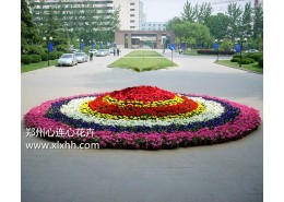 節日花壇設放方案