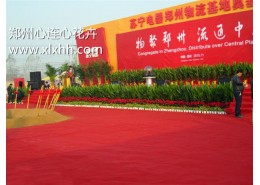 大型會(huì)場(chǎng)花卉布置