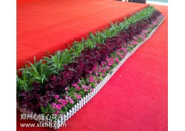 會(huì)場(chǎng)花卉布置