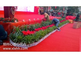 會(huì)場(chǎng)舞臺(tái)前花卉擺放