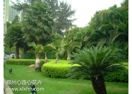 鄭州綠化工程設計