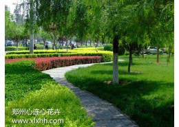 鄭州綠化工程設計