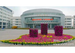 節(jié)日花草擺放設(shè)計(jì)