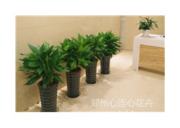 河南榮燊資產(chǎn)