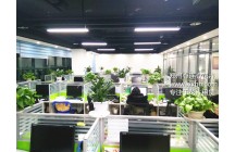 鄭州心連心花卉租賃公司與聚象集團牽手成功！