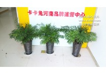 鄭州心連心花卉公司成功牽手卡卡兔河南運營中心！