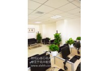 恭賀鄭州心連心花卉租賃與鄭州幸福投資牽手成功！