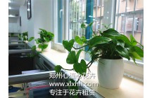 鄭州心連心成功牽手鄭州尚古文化有限公司！