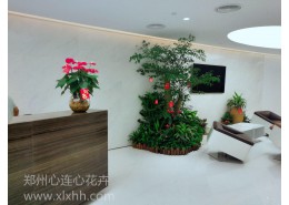 室內(nèi)植物景觀